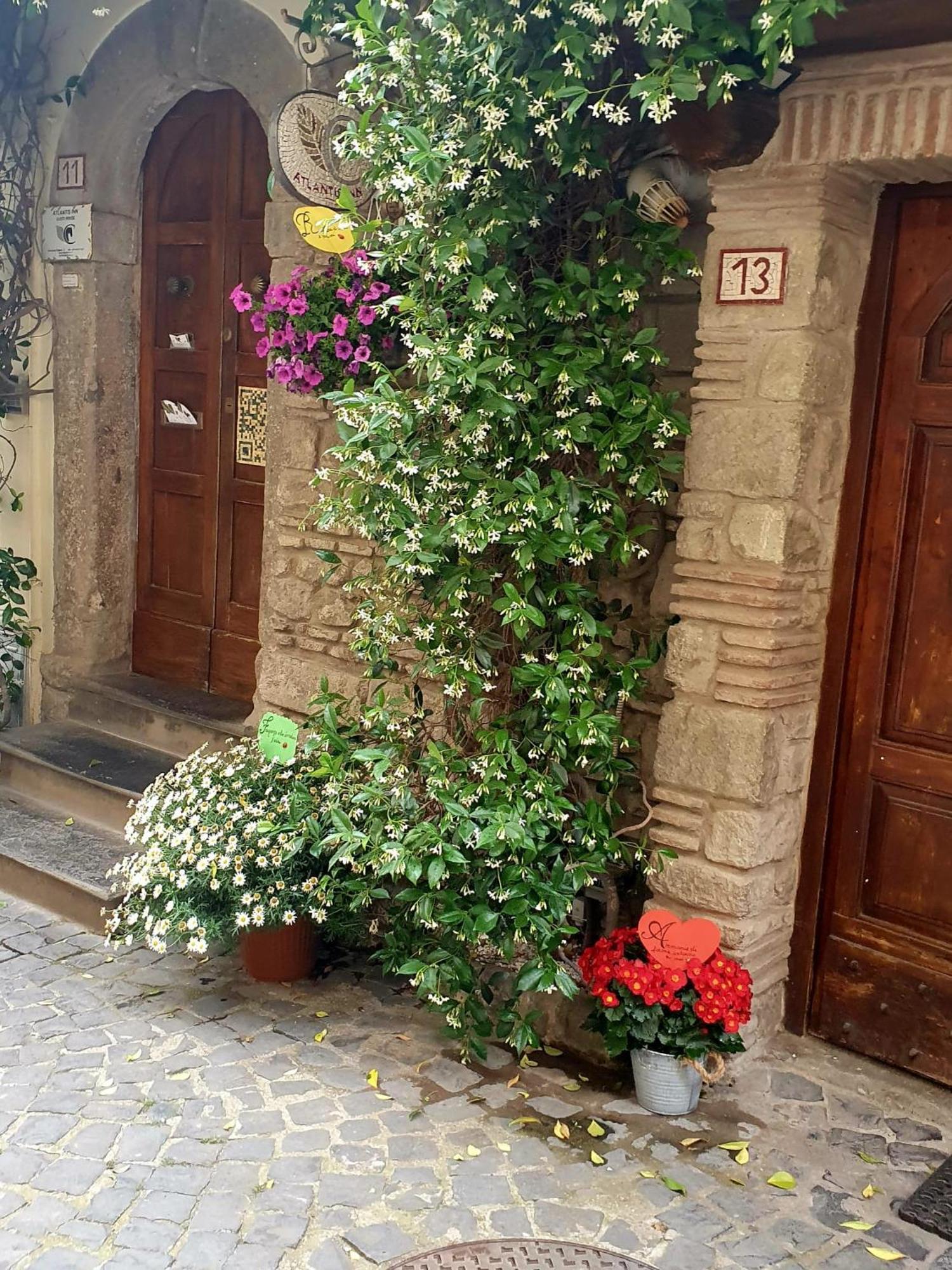Atlantis Inn Castelgandolfo Кастел Гандолфо Екстериор снимка